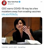 COVID Mutations and Vaccines.jpeg