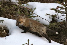 IMG_5796 2.JPG