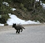 IMG_5802.JPG