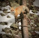 IMG_5590.jpg