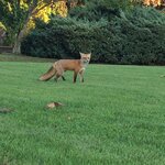 IMG_6473.JPG