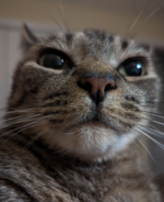 1689056017190.png
