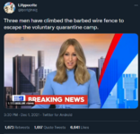 1638502825202.png