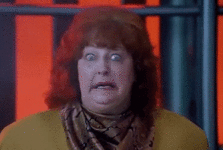 1691664011389.gif