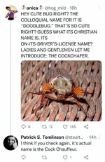 Screenshot_20211211-102149_Twitter.jpg