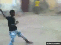 1695875885542.gif