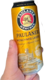 Polish_20231009_151133928.png