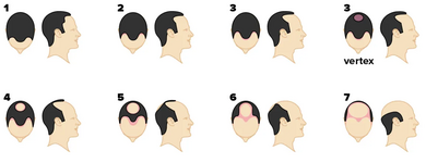 1705631989352.png