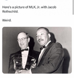 1706128403899.png