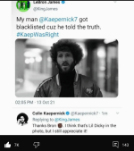 Mulattobservation.png