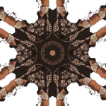 joecummm.png