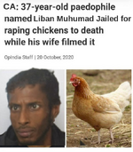 boqbockchickenfoq.png