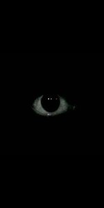 880ed6c89a2a0ebde7c0910bbe6d1786.jpg