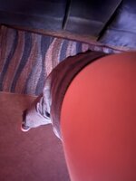 IMG_1072.jpeg