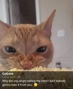 IMG_0684.jpeg