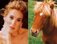 horsey.jpg