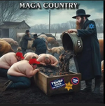 1735572515496.png