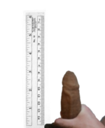 Untitled design.png