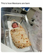 1742987912857.png