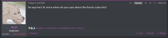 sharty3.png
