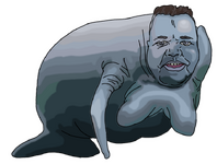manatee.png