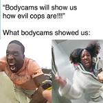 1748116329431.png