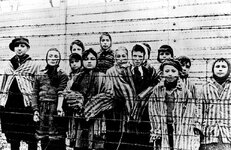 Auschwitz-children-Yad-Vashem.jpg