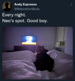 LonelyOldCatLady.jpg