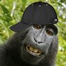 Montravius McCoon